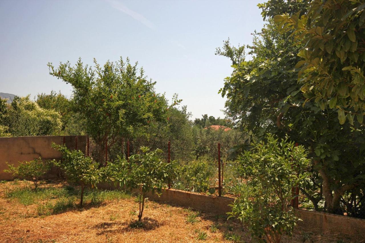 Apartments And Rooms With Parking Space Orebic, Peljesac - 10191 Ngoại thất bức ảnh