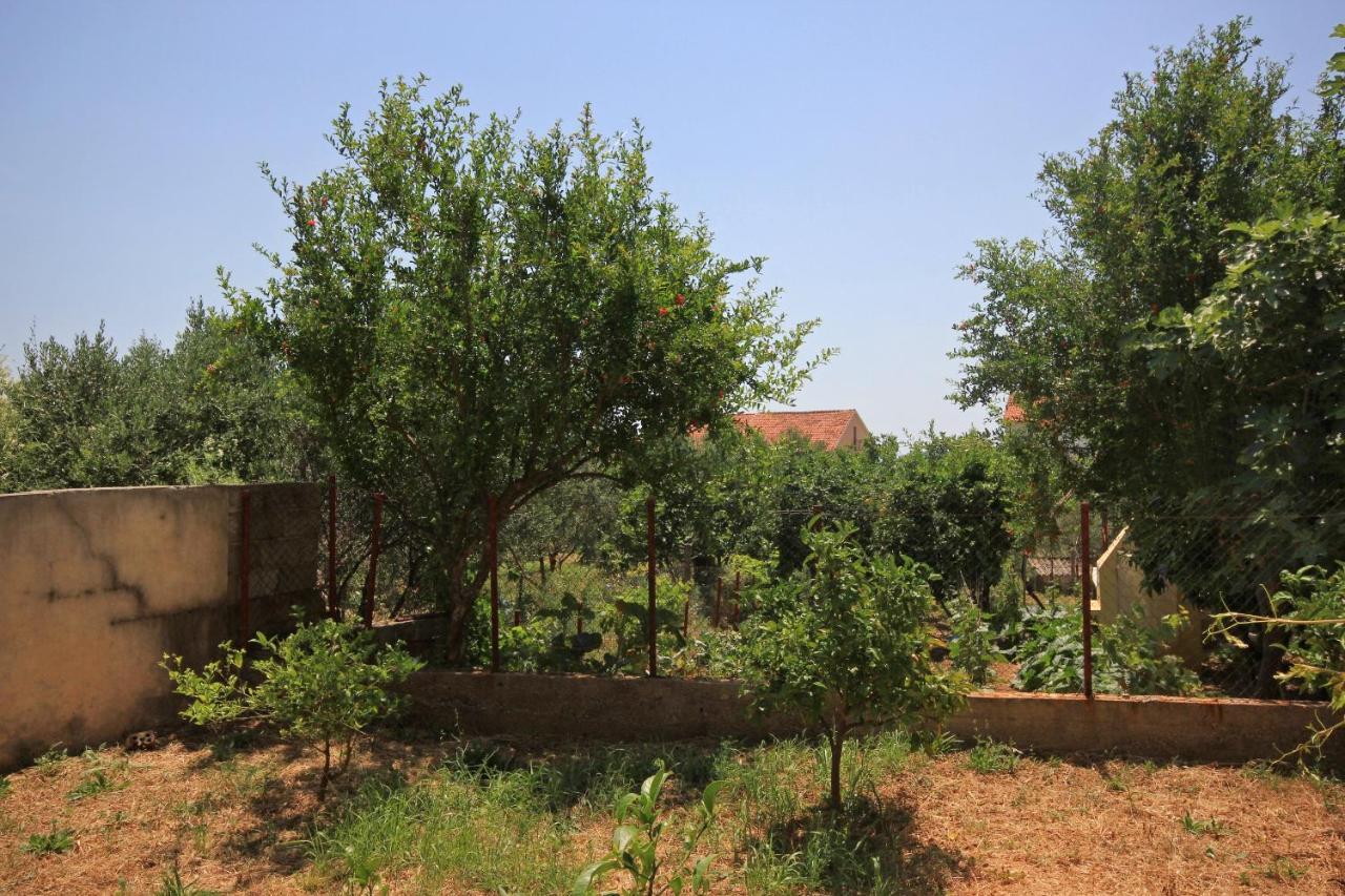 Apartments And Rooms With Parking Space Orebic, Peljesac - 10191 Ngoại thất bức ảnh